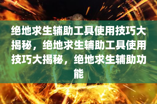 绝地求生辅助工具使用技巧大揭秘，绝地求生辅助工具使用技巧大揭秘，绝地求生辅助功能