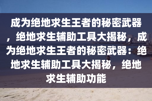 成为绝地求生王者的秘密武器，绝地求生辅助工具大揭秘，成为绝地求生王者的秘密武器：绝地求生辅助工具大揭秘，绝地求生辅助功能