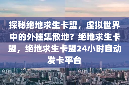 探秘绝地求生卡盟，虚拟世界中的外挂集散地？绝地求生卡盟，绝地求生卡盟24小时自动发卡平台