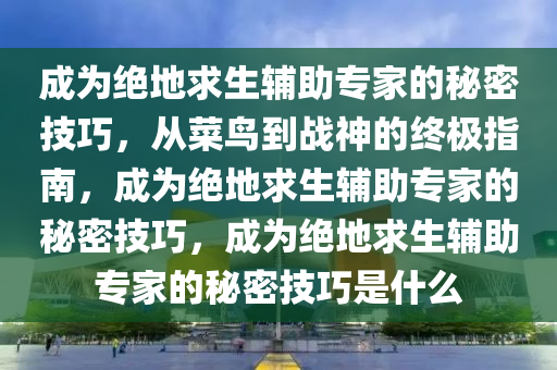 成为绝地求生辅助专家的秘密技巧，从菜鸟到战神的终极指南，成为绝地求生辅助专家的秘密技巧，成为绝地求生辅助专家的秘密技巧是什么