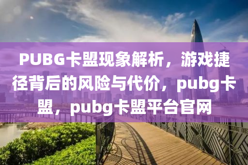 PUBG卡盟现象解析，游戏捷径背后的风险与代价，pubg卡盟，pubg卡盟平台官网