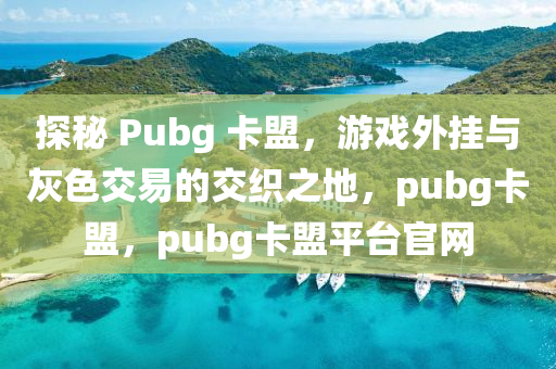 探秘 Pubg 卡盟，游戏外挂与灰色交易的交织之地，pubg卡盟，pubg卡盟平台官网