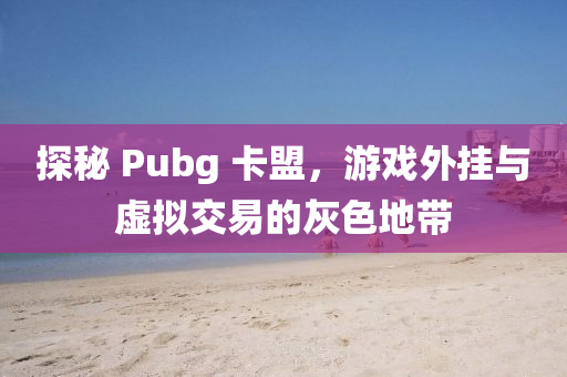 探秘 Pubg 卡盟，游戏外挂与虚拟交易的灰色地带