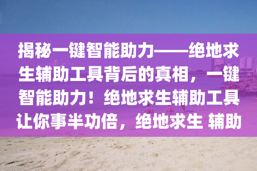 揭秘一键智能助力——绝地求生辅助工具背后的真相，一键智能助力！绝地求生辅助工具让你事半功倍，绝地求生 辅助