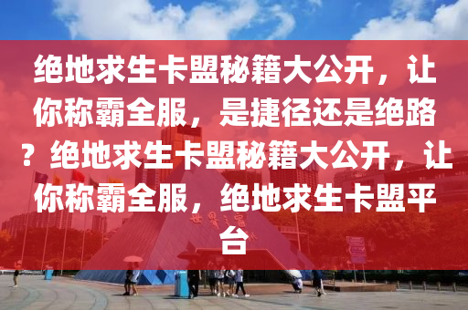 绝地求生卡盟秘籍大公开，让你称霸全服，是捷径还是绝路？绝地求生卡盟秘籍大公开，让你称霸全服，绝地求生卡盟平台