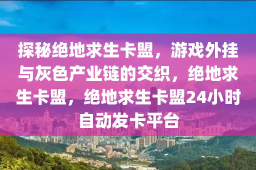 探秘绝地求生卡盟，游戏外挂与灰色产业链的交织，绝地求生卡盟，绝地求生卡盟24小时自动发卡平台