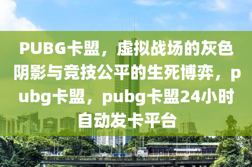 PUBG卡盟，虚拟战场的灰色阴影与竞技公平的生死博弈，pubg卡盟，pubg卡盟24小时自动发卡平台