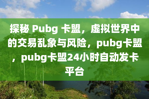 探秘 Pubg 卡盟，虚拟世界中的交易乱象与风险，pubg卡盟，pubg卡盟24小时自动发卡平台