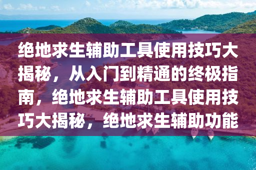 绝地求生辅助工具使用技巧大揭秘，从入门到精通的终极指南，绝地求生辅助工具使用技巧大揭秘，绝地求生辅助功能