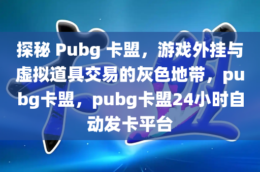 探秘 Pubg 卡盟，游戏外挂与虚拟道具交易的灰色地带，pubg卡盟，pubg卡盟24小时自动发卡平台