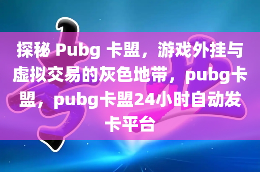 探秘 Pubg 卡盟，游戏外挂与虚拟交易的灰色地带，pubg卡盟，pubg卡盟24小时自动发卡平台