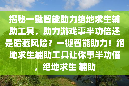 揭秘一键智能助力绝地求生辅助工具，助力游戏事半功倍还是暗藏风险？一键智能助力！绝地求生辅助工具让你事半功倍，绝地求生 辅助
