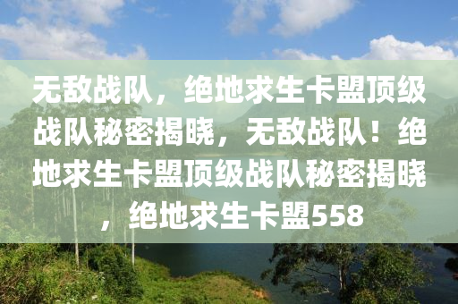无敌战队，绝地求生卡盟顶级战队秘密揭晓，无敌战队！绝地求生卡盟顶级战队秘密揭晓，绝地求生卡盟558