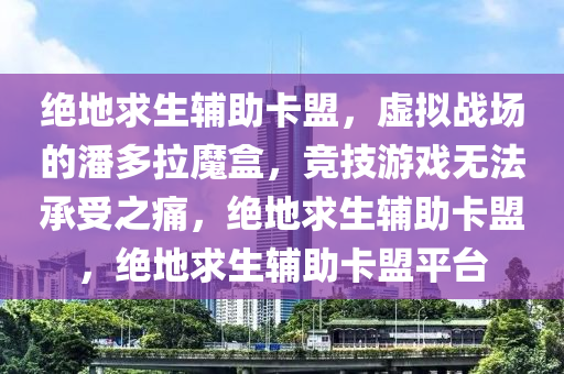绝地求生辅助卡盟，虚拟战场的潘多拉魔盒，竞技游戏无法承受之痛，绝地求生辅助卡盟，绝地求生辅助卡盟平台