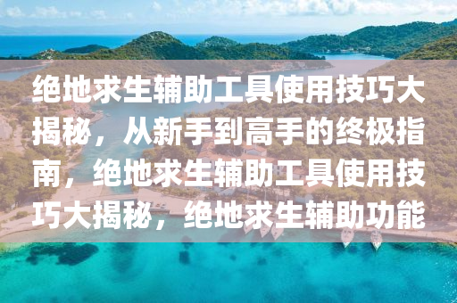 绝地求生辅助工具使用技巧大揭秘，从新手到高手的终极指南，绝地求生辅助工具使用技巧大揭秘，绝地求生辅助功能