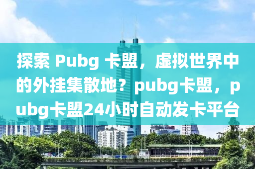 探索 Pubg 卡盟，虚拟世界中的外挂集散地？pubg卡盟，pubg卡盟24小时自动发卡平台