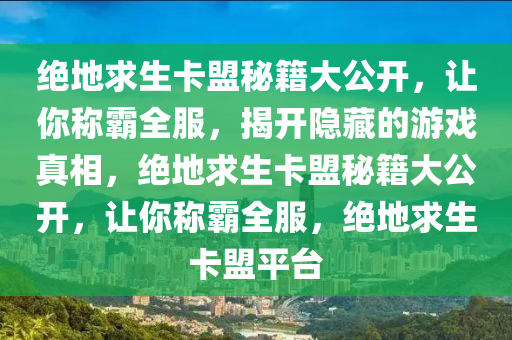 绝地求生卡盟秘籍大公开，让你称霸全服，揭开隐藏的游戏真相，绝地求生卡盟秘籍大公开，让你称霸全服，绝地求生卡盟平台