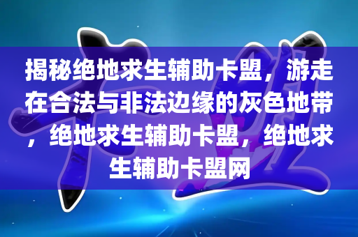 揭秘绝地求生辅助卡盟，游走在合法与非法边缘的灰色地带，绝地求生辅助卡盟，绝地求生辅助卡盟网