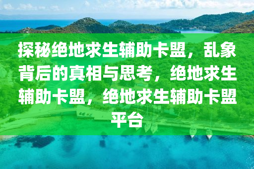 探秘绝地求生辅助卡盟，乱象背后的真相与思考，绝地求生辅助卡盟，绝地求生辅助卡盟平台