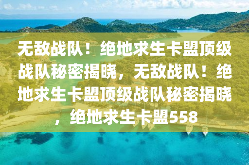 无敌战队！绝地求生卡盟顶级战队秘密揭晓，无敌战队！绝地求生卡盟顶级战队秘密揭晓，绝地求生卡盟558