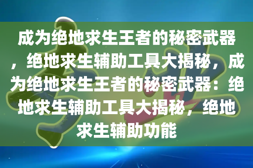 成为绝地求生王者的秘密武器，绝地求生辅助工具大揭秘，成为绝地求生王者的秘密武器：绝地求生辅助工具大揭秘，绝地求生辅助功能