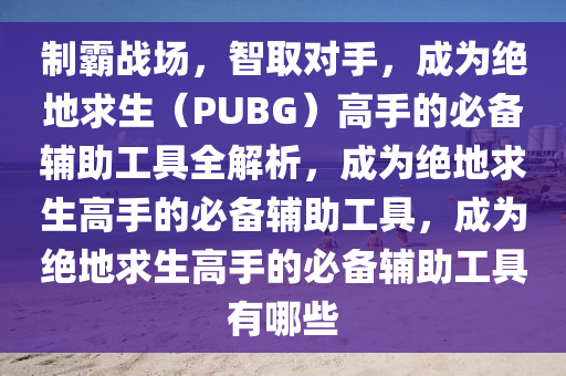 制霸战场，智取对手，成为绝地求生（PUBG）高手的必备辅助工具全解析，成为绝地求生高手的必备辅助工具，成为绝地求生高手的必备辅助工具有哪些