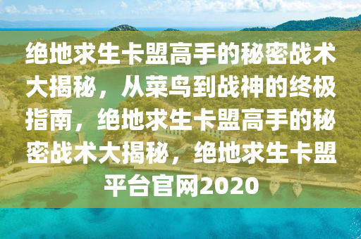 绝地求生卡盟高手的秘密战术大揭秘，从菜鸟到战神的终极指南，绝地求生卡盟高手的秘密战术大揭秘，绝地求生卡盟平台官网2020