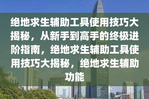 绝地求生辅助工具使用技巧大揭秘，从新手到高手的终极进阶指南，绝地求生辅助工具使用技巧大揭秘，绝地求生辅助功能