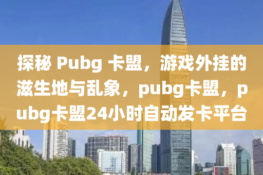 探秘 Pubg 卡盟，游戏外挂的滋生地与乱象，pubg卡盟，pubg卡盟24小时自动发卡平台