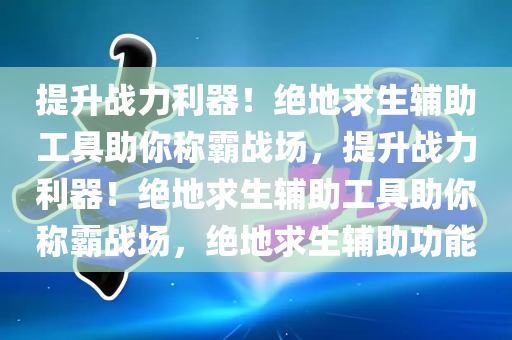 提升战力利器！绝地求生辅助工具助你称霸战场，提升战力利器！绝地求生辅助工具助你称霸战场，绝地求生辅助功能