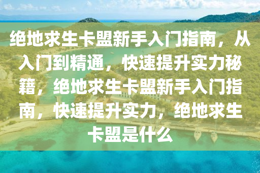 绝地求生卡盟新手入门指南，从入门到精通，快速提升实力秘籍，绝地求生卡盟新手入门指南，快速提升实力，绝地求生卡盟是什么