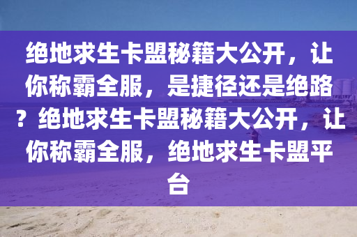 绝地求生卡盟秘籍大公开，让你称霸全服，是捷径还是绝路？绝地求生卡盟秘籍大公开，让你称霸全服，绝地求生卡盟平台