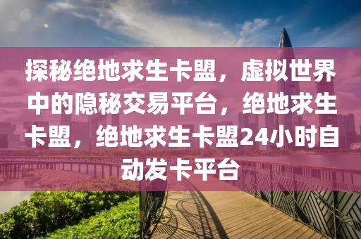 探秘绝地求生卡盟，虚拟世界中的隐秘交易平台，绝地求生卡盟，绝地求生卡盟24小时自动发卡平台