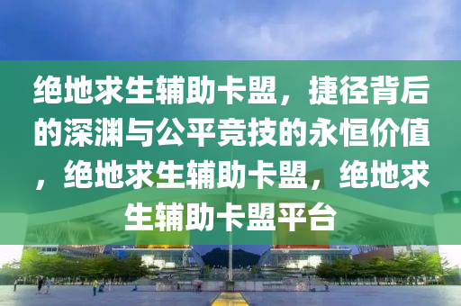 绝地求生辅助卡盟，捷径背后的深渊与公平竞技的永恒价值，绝地求生辅助卡盟，绝地求生辅助卡盟平台