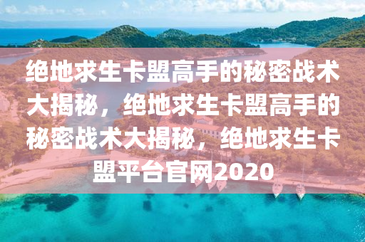 绝地求生卡盟高手的秘密战术大揭秘，绝地求生卡盟高手的秘密战术大揭秘，绝地求生卡盟平台官网2020