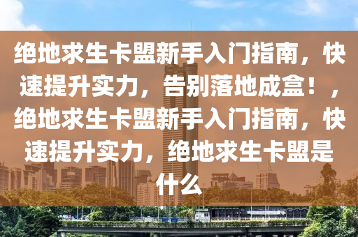 绝地求生卡盟新手入门指南，快速提升实力，告别落地成盒！，绝地求生卡盟新手入门指南，快速提升实力，绝地求生卡盟是什么