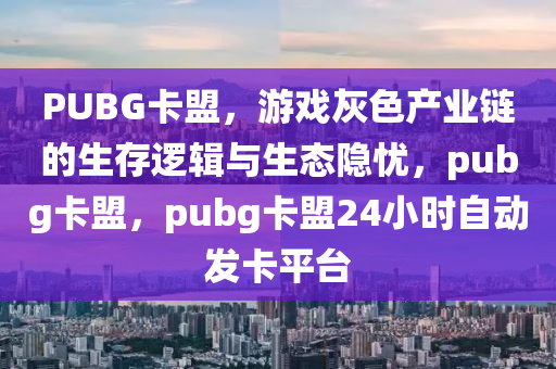PUBG卡盟，游戏灰色产业链的生存逻辑与生态隐忧，pubg卡盟，pubg卡盟24小时自动发卡平台