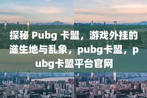 探秘 Pubg 卡盟，游戏外挂的滋生地与乱象，pubg卡盟，pubg卡盟平台官网