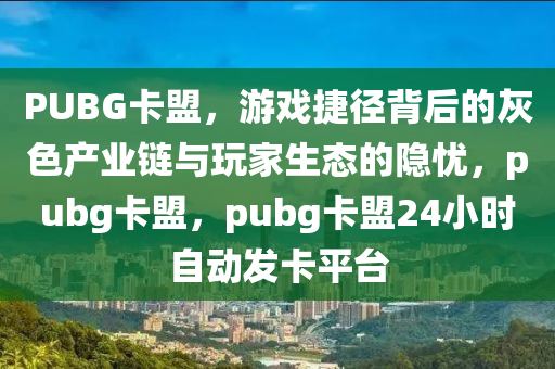 PUBG卡盟，游戏捷径背后的灰色产业链与玩家生态的隐忧，pubg卡盟，pubg卡盟24小时自动发卡平台