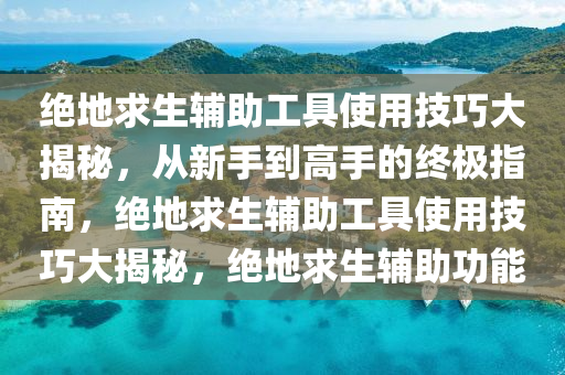 绝地求生辅助工具使用技巧大揭秘，从新手到高手的终极指南，绝地求生辅助工具使用技巧大揭秘，绝地求生辅助功能