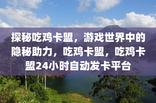 探秘吃鸡卡盟，游戏世界中的隐秘助力，吃鸡卡盟，吃鸡卡盟24小时自动发卡平台