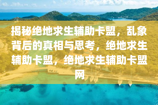 揭秘绝地求生辅助卡盟，乱象背后的真相与思考，绝地求生辅助卡盟，绝地求生辅助卡盟网