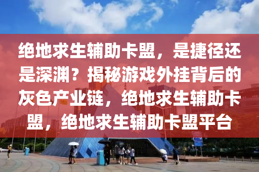 绝地求生辅助卡盟，是捷径还是深渊？揭秘游戏外挂背后的灰色产业链，绝地求生辅助卡盟，绝地求生辅助卡盟平台