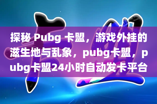 探秘 Pubg 卡盟，游戏外挂的滋生地与乱象，pubg卡盟，pubg卡盟24小时自动发卡平台