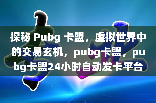 探秘 Pubg 卡盟，虚拟世界中的交易玄机，pubg卡盟，pubg卡盟24小时自动发卡平台