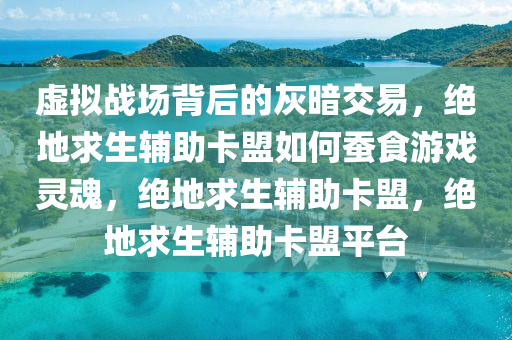 虚拟战场背后的灰暗交易，绝地求生辅助卡盟如何蚕食游戏灵魂，绝地求生辅助卡盟，绝地求生辅助卡盟平台