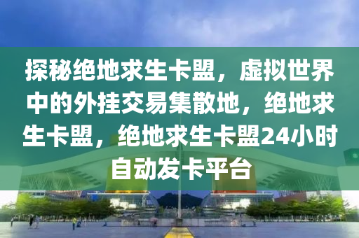 探秘绝地求生卡盟，虚拟世界中的外挂交易集散地，绝地求生卡盟，绝地求生卡盟24小时自动发卡平台
