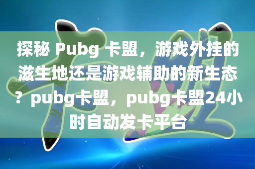 探秘 Pubg 卡盟，游戏外挂的滋生地还是游戏辅助的新生态？pubg卡盟，pubg卡盟24小时自动发卡平台