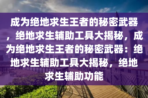 成为绝地求生王者的秘密武器，绝地求生辅助工具大揭秘，成为绝地求生王者的秘密武器：绝地求生辅助工具大揭秘，绝地求生辅助功能