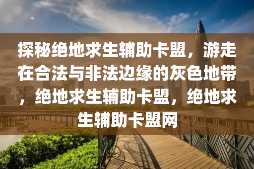探秘绝地求生辅助卡盟，游走在合法与非法边缘的灰色地带，绝地求生辅助卡盟，绝地求生辅助卡盟网